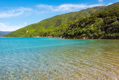 /international/nz/lot-17-onauku-bay-queen-charlotte-sound-marlborough-380066078724/