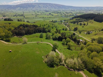 /international/nz/henley-dunedin-city-380066086512/