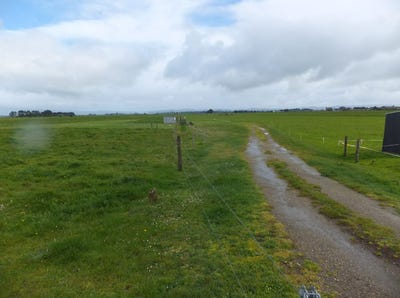 /international/nz/251-collins-road-temple-view-hamilton-city-380066075702/