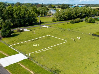 /international/nz/woodville-tararua-380066115011/