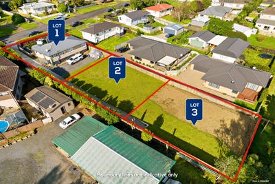 /international/nz/tuakau-franklin-380066104366/