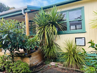 /international/nz/paihia-far-north-380066128240/