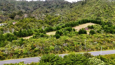 /international/nz/punakaiki-buller-380066110269/