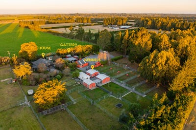 /international/nz/2228-south-eyre-road-west-eyreton-waimakariri-380066111923/