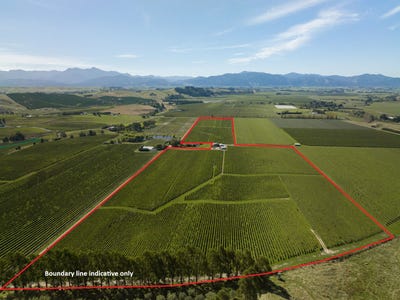 /international/nz/fairhall-marlborough-380066177176/
