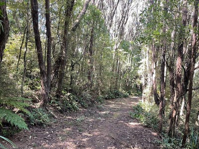 /international/nz/28-patmos-avenue-woodhaugh-dunedin-city-380066112797/
