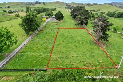 /international/nz/morrinsville-matamata-piako-380066103359/
