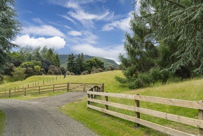 /international/nz/acacia-bay-taupo-380066108700/