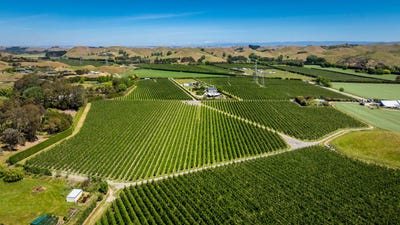 /international/nz/490-puketitiri-road-puketapu-napier-south-napier-city-380066084245/