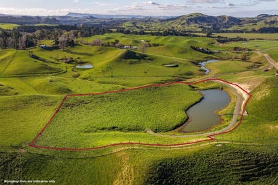 /international/nz/puketapu-hastings-380066083270/