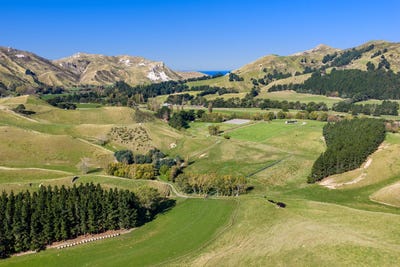 /international/nz/183-seddon-street-ward-marlborough-380066078216/