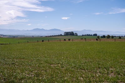 /international/nz/hadlow-timaru-380066081932/