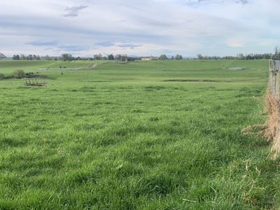 /international/nz/whitneys-road-waimate-canterbury-380066078932/