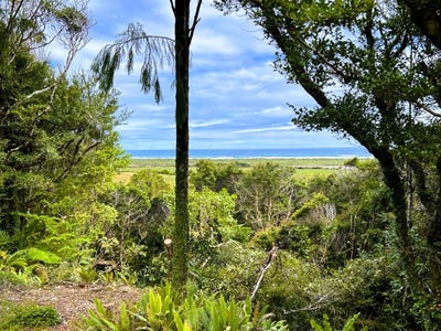/international/nz/charleston-buller-380066096465/