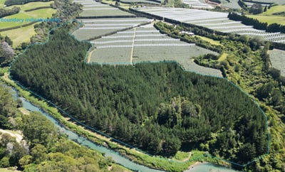 /international/nz/126b-casuarina-drive-te-puke-western-bay-of-plenty-380066179906/