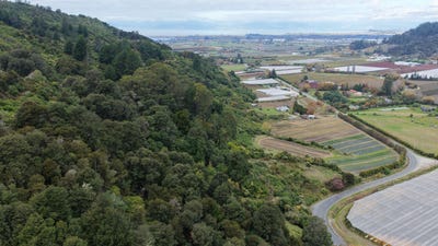 /international/nz/motueka-tasman-380066123296/