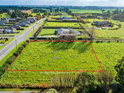 /international/nz/84-manse-road-leeston-selwyn-380066086901/