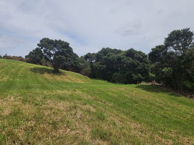 /international/nz/216-three-oaks-drive-dairy-flat-auckland-380066095019/