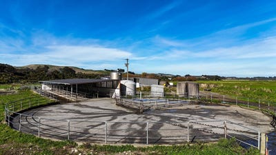 /international/nz/1801-tuatapere-orepuki-highway-tuatapere-southland-380066082772/