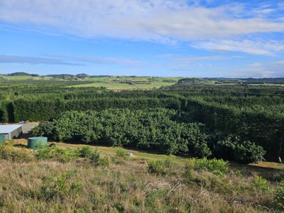 /international/nz/0-heath-road-awanui-far-north-380066080899/
