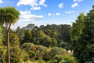 /international/nz/tuakau-franklin-380066080199/
