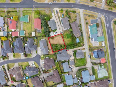 /international/nz/waiuku-franklin-380066123035/
