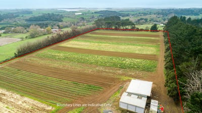 /international/nz/waiuku-franklin-380066180818/