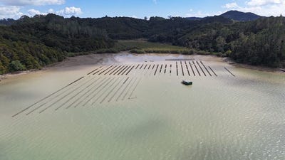 /international/nz/opua-far-north-380066082149/