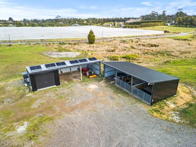 /international/nz/175a-stanners-road-kerikeri-far-north-380066181707/