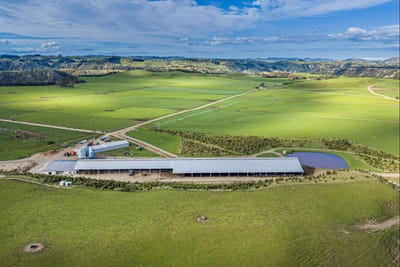 /international/nz/500-willowford-road-waiwhare-hastings-380066080085/
