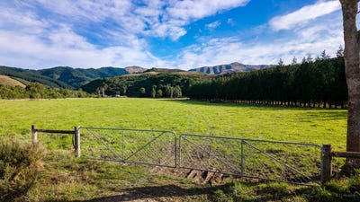 /international/nz/upper-hook-road-hunter-waimate-canterbury-380066081044/