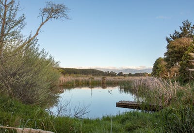 /international/nz/ohau-western-bay-of-plenty-380066123729/