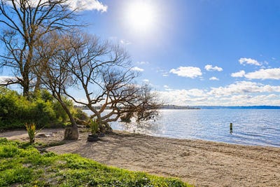 /international/nz/85-whittaker-road-koutu-rotorua-380066099681/