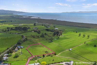 /international/nz/miranda-franklin-380066110121/