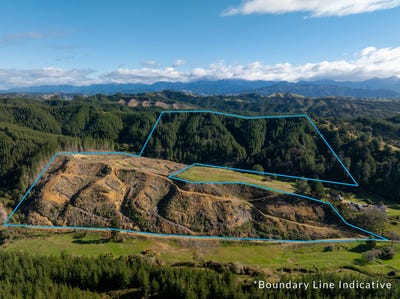 /international/nz/0-supplejack-valley-road-upper-moutere-tasman-380066184019/