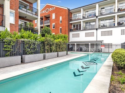 /international/nz/mount-albert-auckland-city-380066112908/