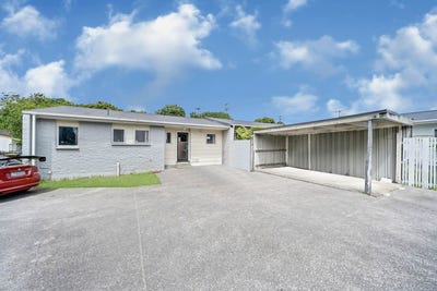 /international/nz/papatoetoe-manukau-city-380066178658/