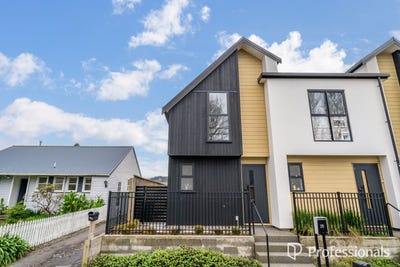 /international/nz/naenae-lower-hutt-city-380066098753/