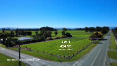 /international/nz/5-george-street-edendale-southland-380066083939/