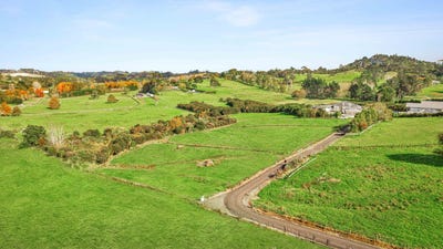 /international/nz/dairy-flat-rodney-380066077678/