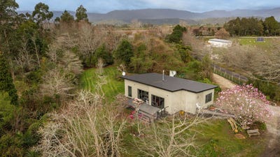 /international/nz/westport-buller-380066175080/
