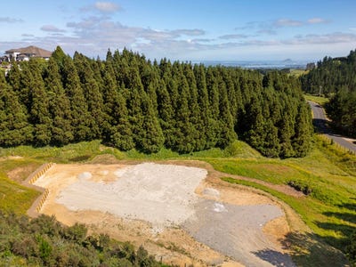 /international/nz/ohauiti-tauranga-380066082855/