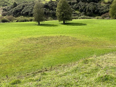 /international/nz/lot-10-632-mangaotuku-road-douglas-stratford-380066083071/