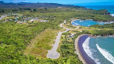 /international/nz/charleston-buller-380066115493/