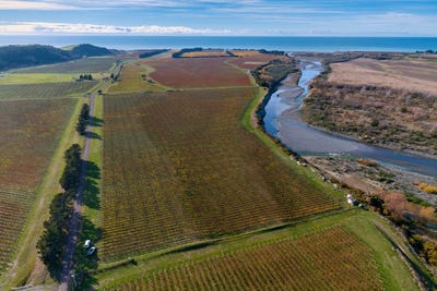 /international/nz/102-renners-road-seddon-marlborough-380066081458/
