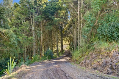 /international/nz/803-golden-stairs-maungaturoto-kaipara-380066175053/