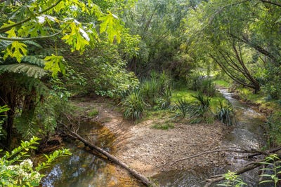 /international/nz/106-pebblebrooke-road-mangawhai-kaipara-380066108160/