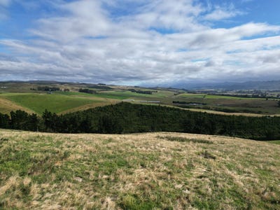 /international/nz/palmerston-manawatu-whanganui-380066112575/