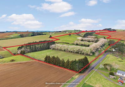 /international/nz/180-andrews-road-onewhero-franklin-380066167531/