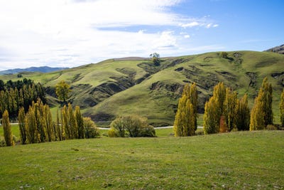 /international/nz/mackenzie-road-havelock-north-hastings-380066077321/